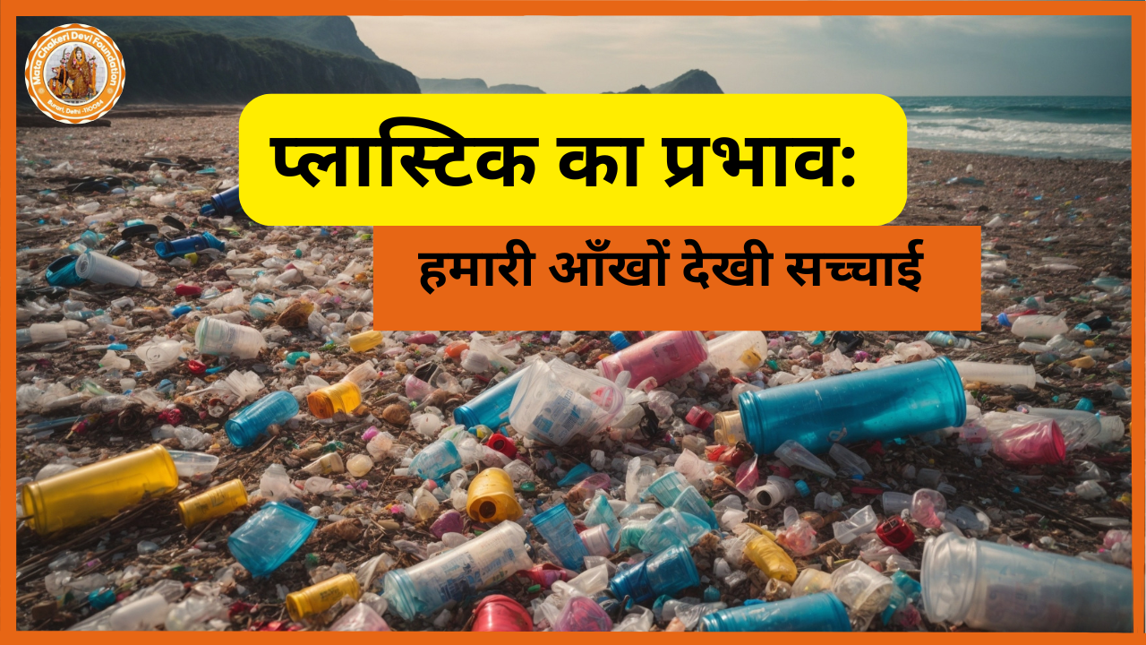 प्लास्टिक का प्रभाव: हमारी आँखों देखी सच्चाई