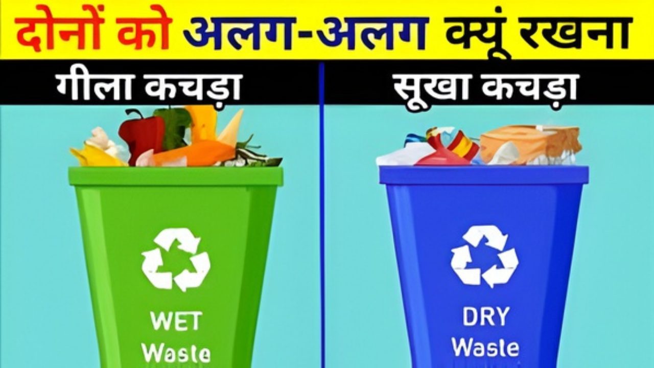 Waste Segregation Matters
