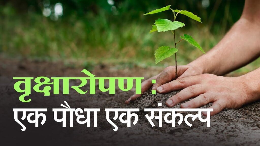 एक पेड़, सौ जीवन: वृक्षारोपण का महत्व